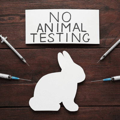 Kozmetikte Hayvan Testi Nedir?
